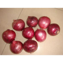 Red Onion